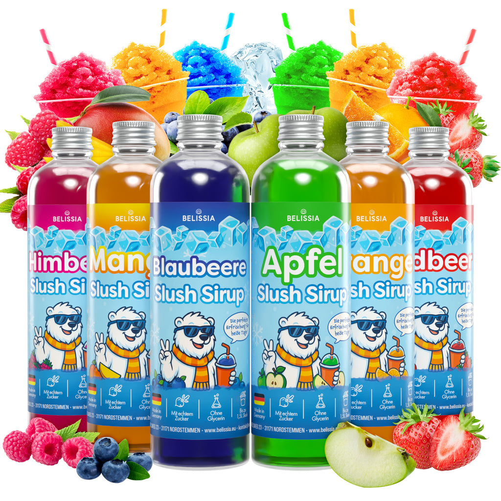 Slush Eis Sirup Partyset – 6 × 250 ml (Apfel, Blaubeere, Erdbeere, Himbeere, Mango, Orange)