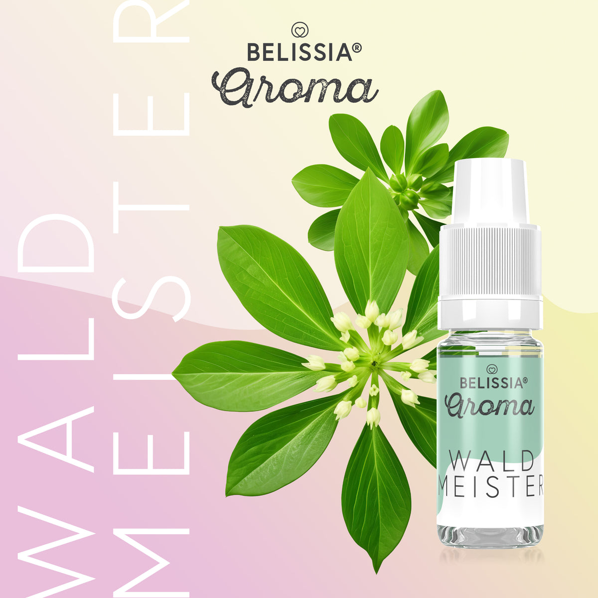 BELISSIA Lebensmittelaroma Waldmeister – 10 ml Tropfflasche