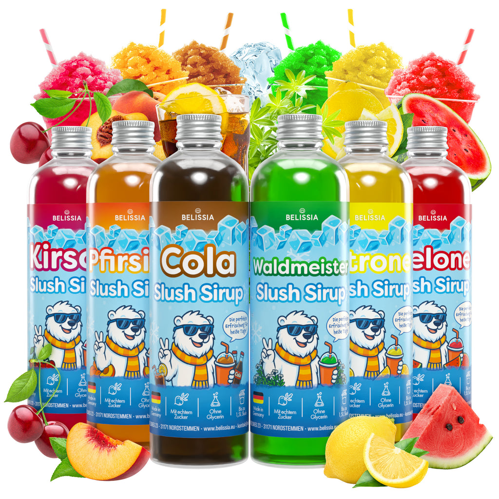 Slush Eis Sirup Sommerset – 6 × 250 ml (Cola, Kirsche, Pfirsich, Waldmeister, Wassermelone, Zitrone)
