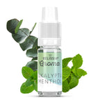 BELISSIA Lebensmittelaroma Eukalyptus-Menthol – 10 ml Tropfflasche