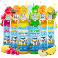 Slush Eis Sirup – 6x250ml Set - Zitrone, Mango,...