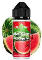 Shake and Make - Wassermelone