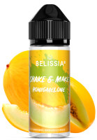 Shake and Make - Honigmelone