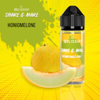 Shake and Make - Honigmelone