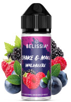 Shake and Make - Waldbeere