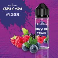 Shake and Make - Waldbeere