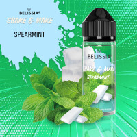 Shake and Make - Spearmint