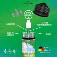 Shake and Make - Spearmint