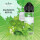 Shake and Make - Waldmeister-Menthol