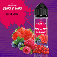 Shake and Make - Beerenmix