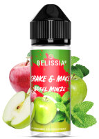 Shake and Make - Apfel-Minze